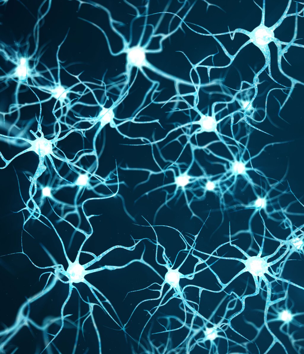 神経細胞 | Axion Biosystems